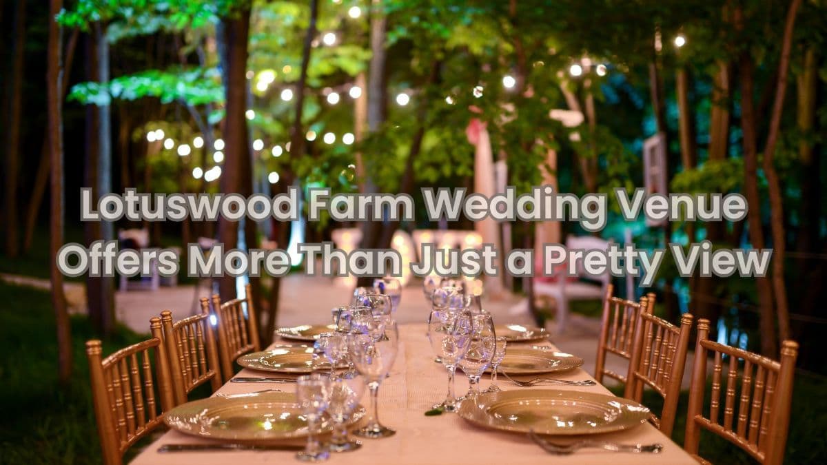 Why This Wedding Venue in Middletown Isn’t Just Another Barn With Lights